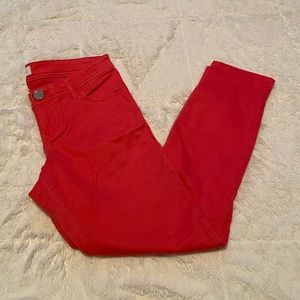 Express Pants